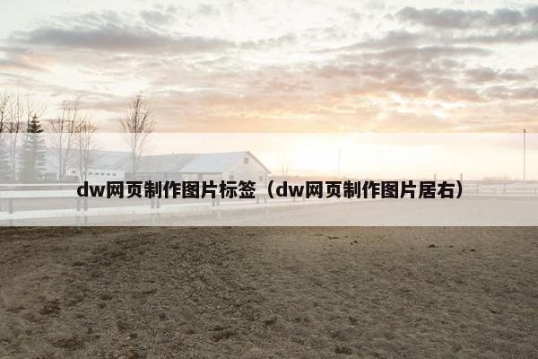 dw网页制作图片标签（dw网页制作图片居右）