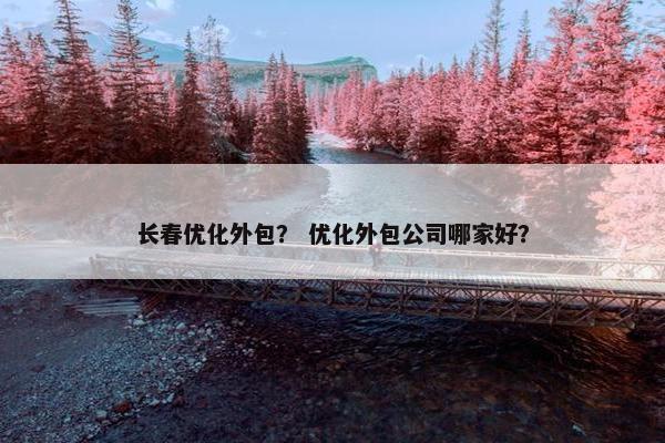 长春优化外包？ 优化外包公司哪家好？