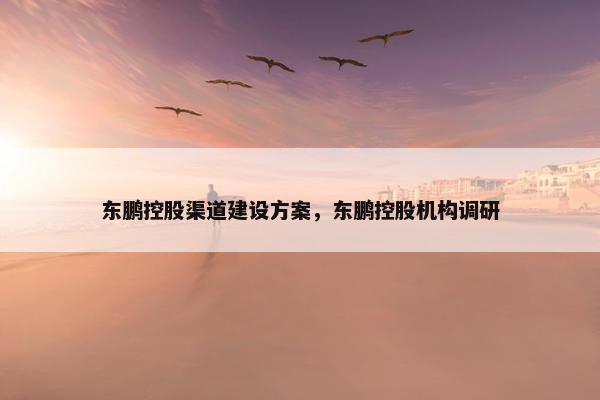 东鹏控股渠道建设方案，东鹏控股机构调研