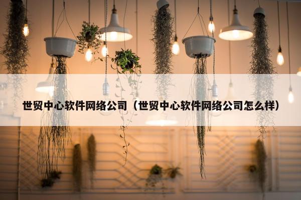 世贸中心软件网络公司（世贸中心软件网络公司怎么样）