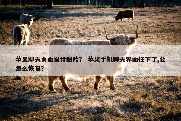 苹果聊天页面设计图片？ 苹果手机聊天界面往下了,要怎么恢复？