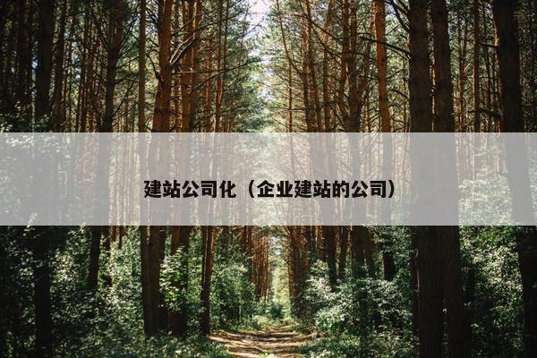 建站公司化（企业建站的公司）