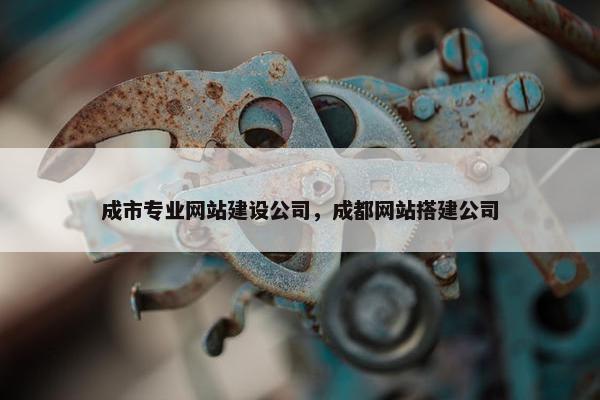 成市专业网站建设公司，成都网站搭建公司
