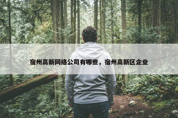 宿州高新网络公司有哪些，宿州高新区企业