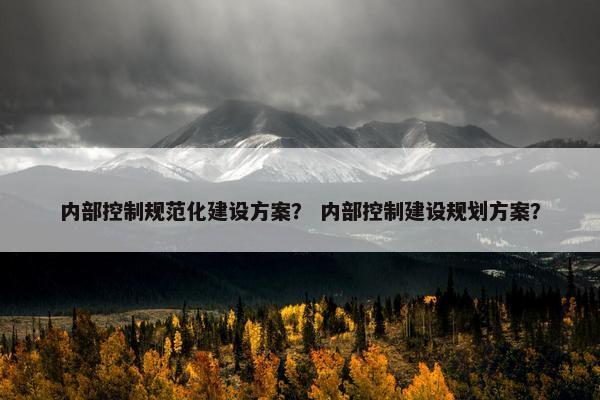 内部控制规范化建设方案？ 内部控制建设规划方案？