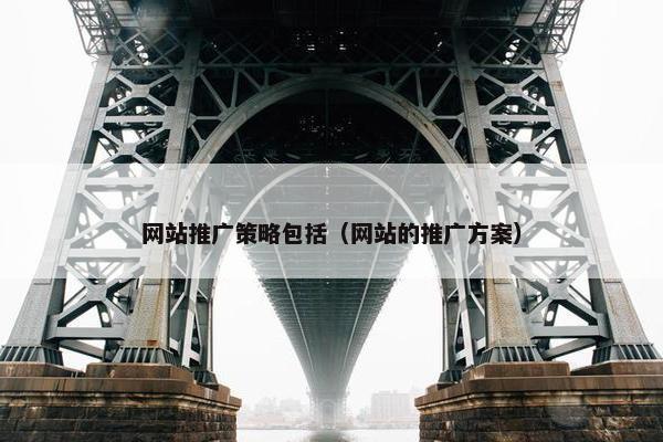 网站推广策略包括（网站的推广方案）