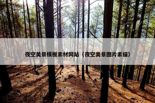 夜空美景模板素材网站（夜空美景图片素描）