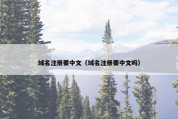 域名注册要中文（域名注册要中文吗）