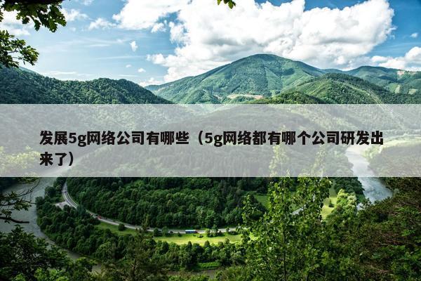 发展5g网络公司有哪些（5g网络都有哪个公司研发出来了）