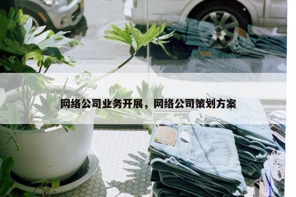 网络公司业务开展，网络公司策划方案