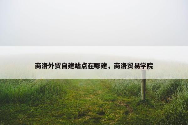 商洛外贸自建站点在哪建，商洛贸易学院