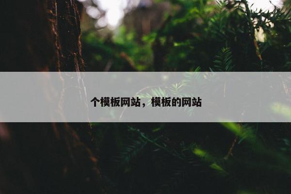 个模板网站，模板的网站