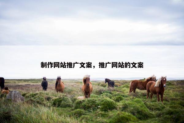 制作网站推广文案，推广网站的文案