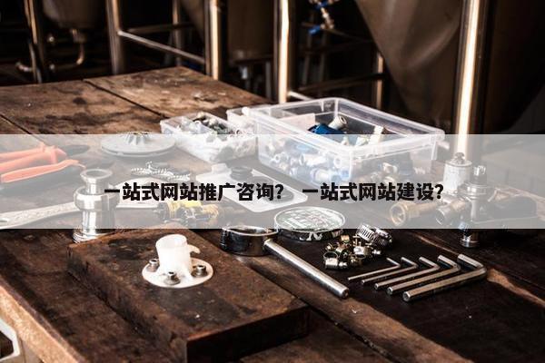 一站式网站推广咨询？ 一站式网站建设？