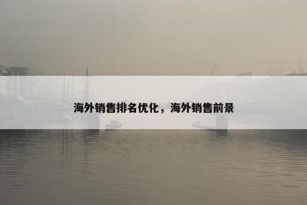 海外销售排名优化，海外销售前景