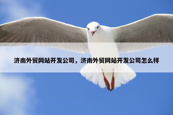 济南外贸网站开发公司，济南外贸网站开发公司怎么样