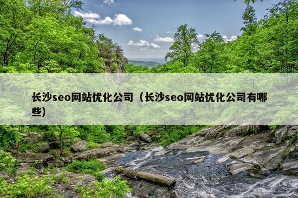 长沙seo网站优化公司（长沙seo网站优化公司有哪些）