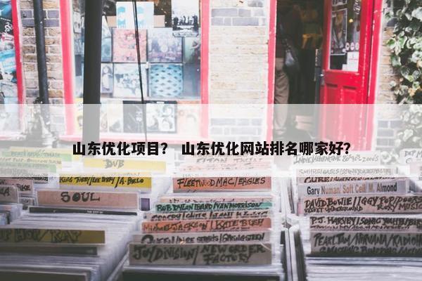 山东优化项目？ 山东优化网站排名哪家好？