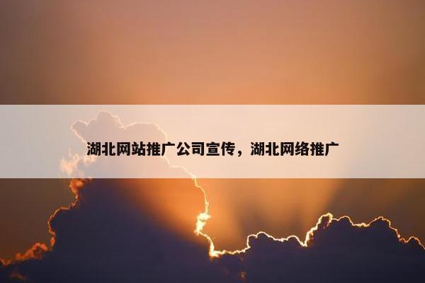 湖北网站推广公司宣传，湖北网络推广