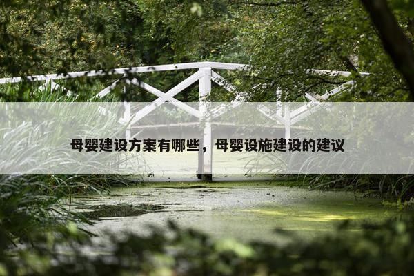 母婴建设方案有哪些，母婴设施建设的建议