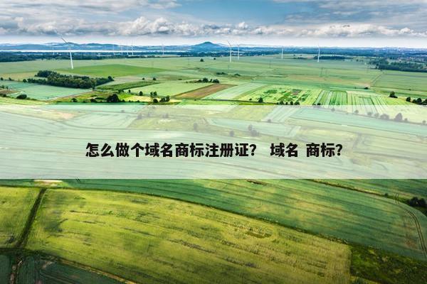 怎么做个域名商标注册证？ 域名 商标？