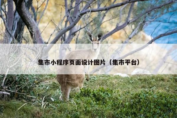 集市小程序页面设计图片（集市平台）