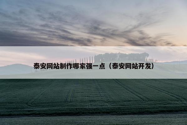 泰安网站制作哪家强一点（泰安网站开发）