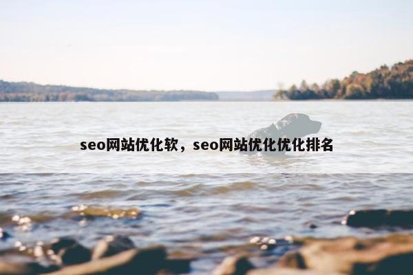 seo网站优化软，seo网站优化优化排名