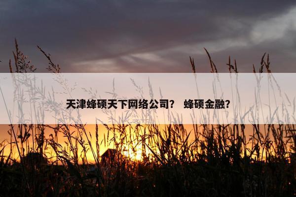 天津蜂硕天下网络公司？ 蜂硕金融？