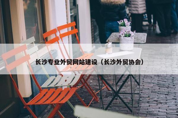 长沙专业外贸网站建设（长沙外贸协会）