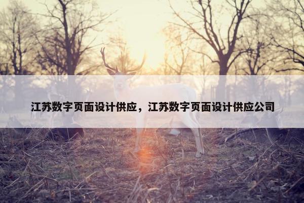 江苏数字页面设计供应，江苏数字页面设计供应公司