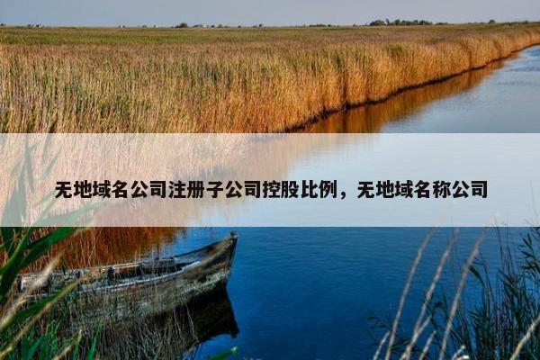 无地域名公司注册子公司控股比例，无地域名称公司
