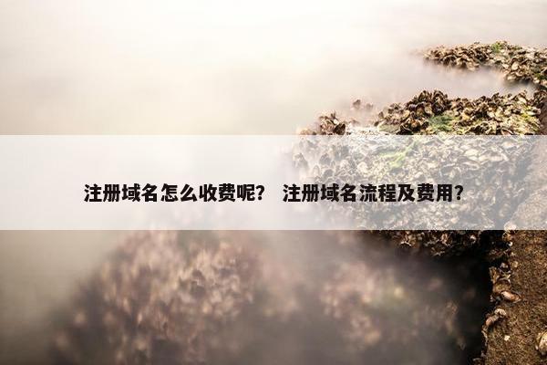 注册域名怎么收费呢？ 注册域名流程及费用？