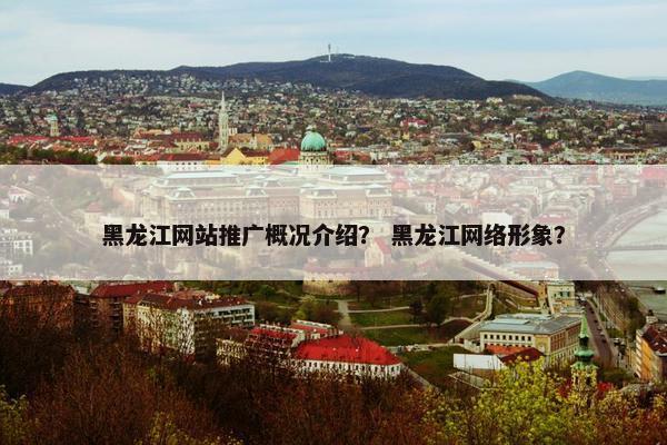 黑龙江网站推广概况介绍？ 黑龙江网络形象？