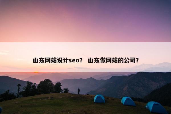 山东网站设计seo？ 山东做网站的公司？