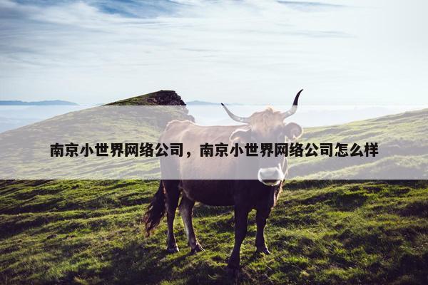 南京小世界网络公司，南京小世界网络公司怎么样