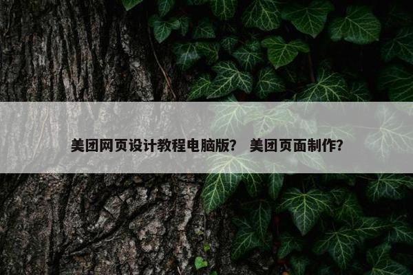美团网页设计教程电脑版？ 美团页面制作？