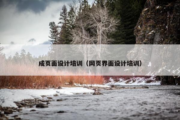 成页面设计培训（网页界面设计培训）