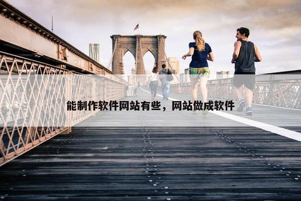 能制作软件网站有些，网站做成软件