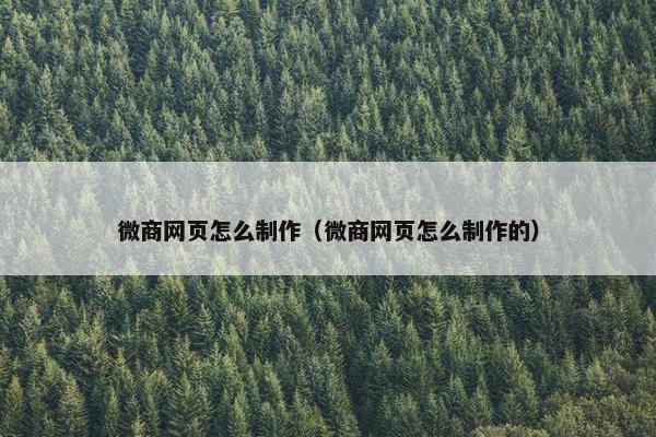 微商网页怎么制作（微商网页怎么制作的）