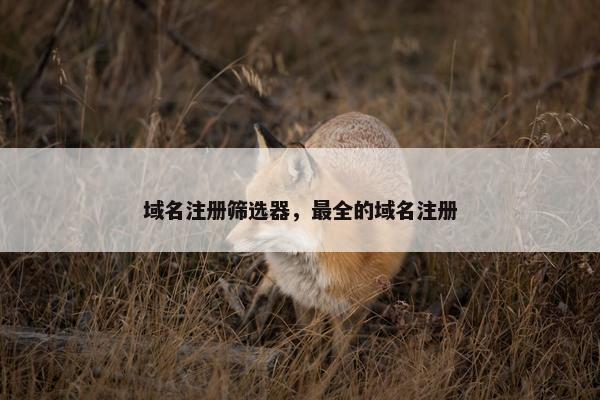 域名注册筛选器，最全的域名注册