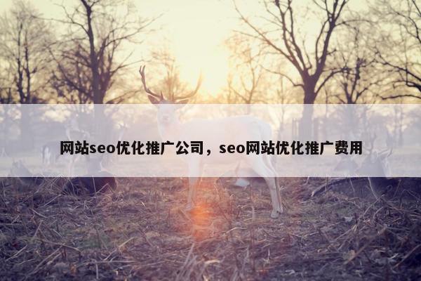 网站seo优化推广公司，seo网站优化推广费用