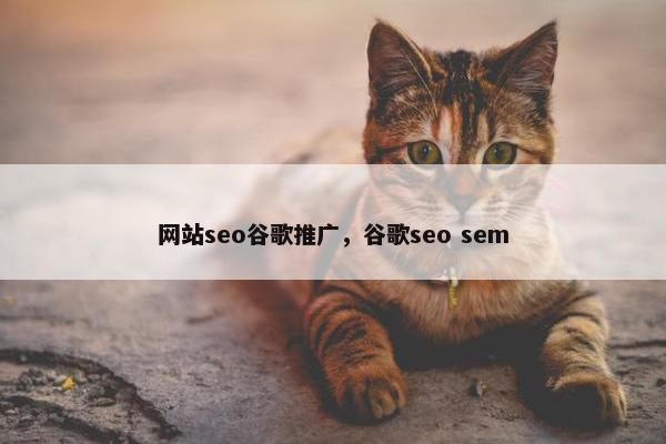 网站seo谷歌推广，谷歌seo sem