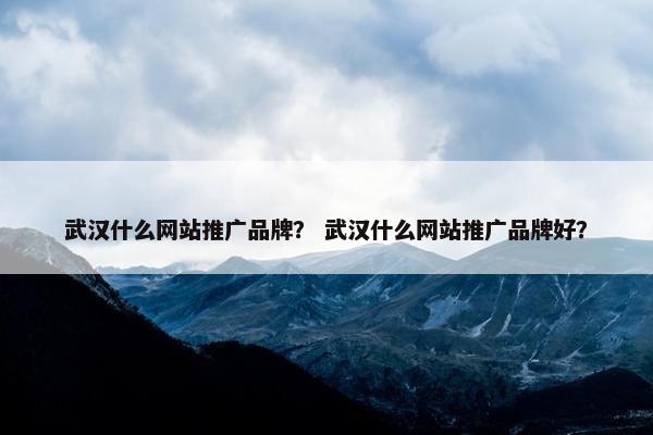 武汉什么网站推广品牌？ 武汉什么网站推广品牌好？