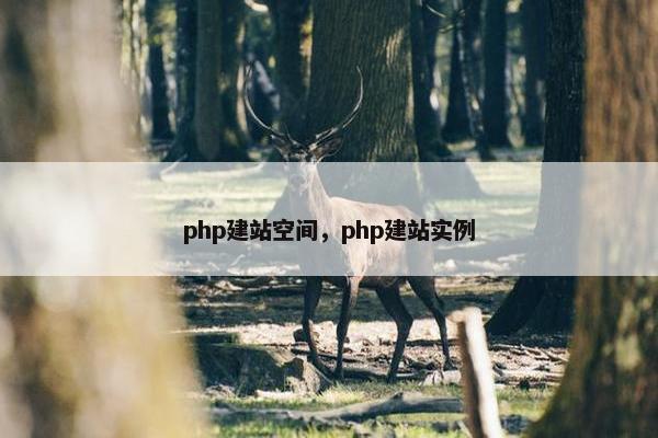 php建站空间，php建站实例