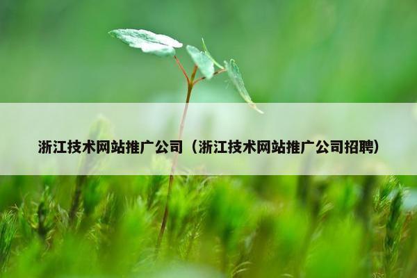 浙江技术网站推广公司（浙江技术网站推广公司招聘）