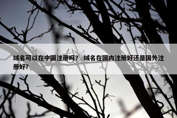 域名可以在中国注册吗？ 域名在国内注册好还是国外注册好？