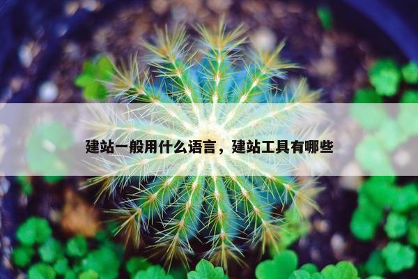 建站一般用什么语言，建站工具有哪些