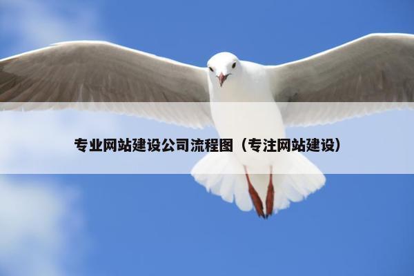 专业网站建设公司流程图（专注网站建设）