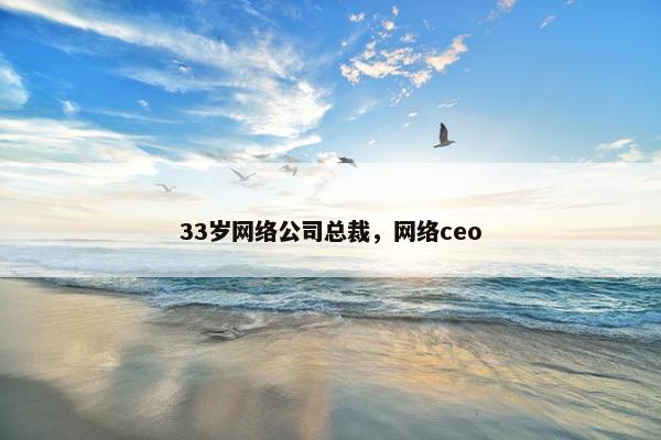33岁网络公司总裁，网络ceo